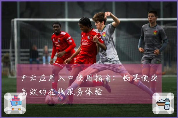 开云应用入口使用指南：畅享便捷高效的在线服务体验