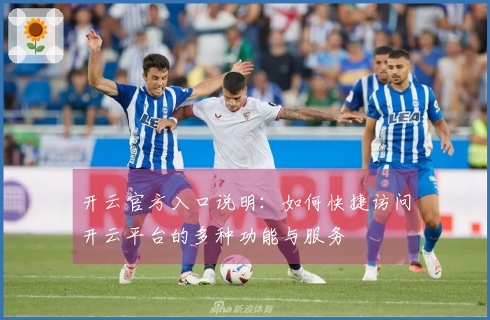 开云官方入口说明：如何快捷访问开云平台的多种功能与服务