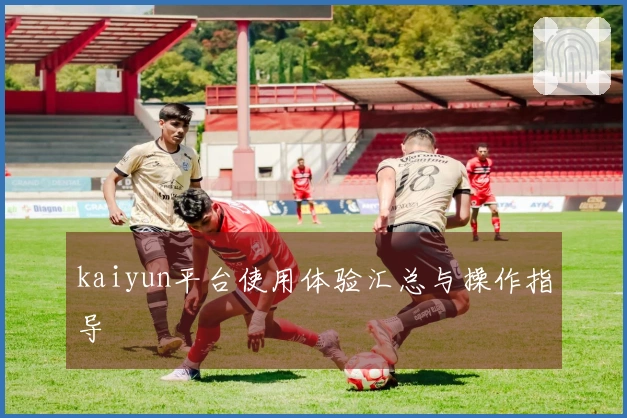 kaiyun平台使用体验汇总与操作指导
