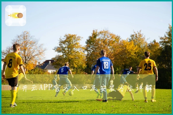 开云APP官方入口及安装方法详解