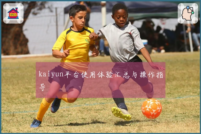 kaiyun平台使用体验汇总与操作指导