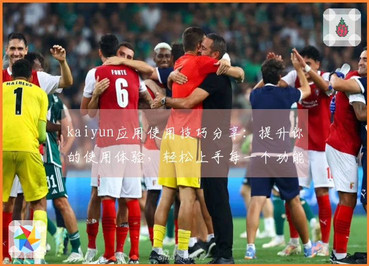 kaiyun应用使用技巧分享：提升你的使用体验，轻松上手每一个功能